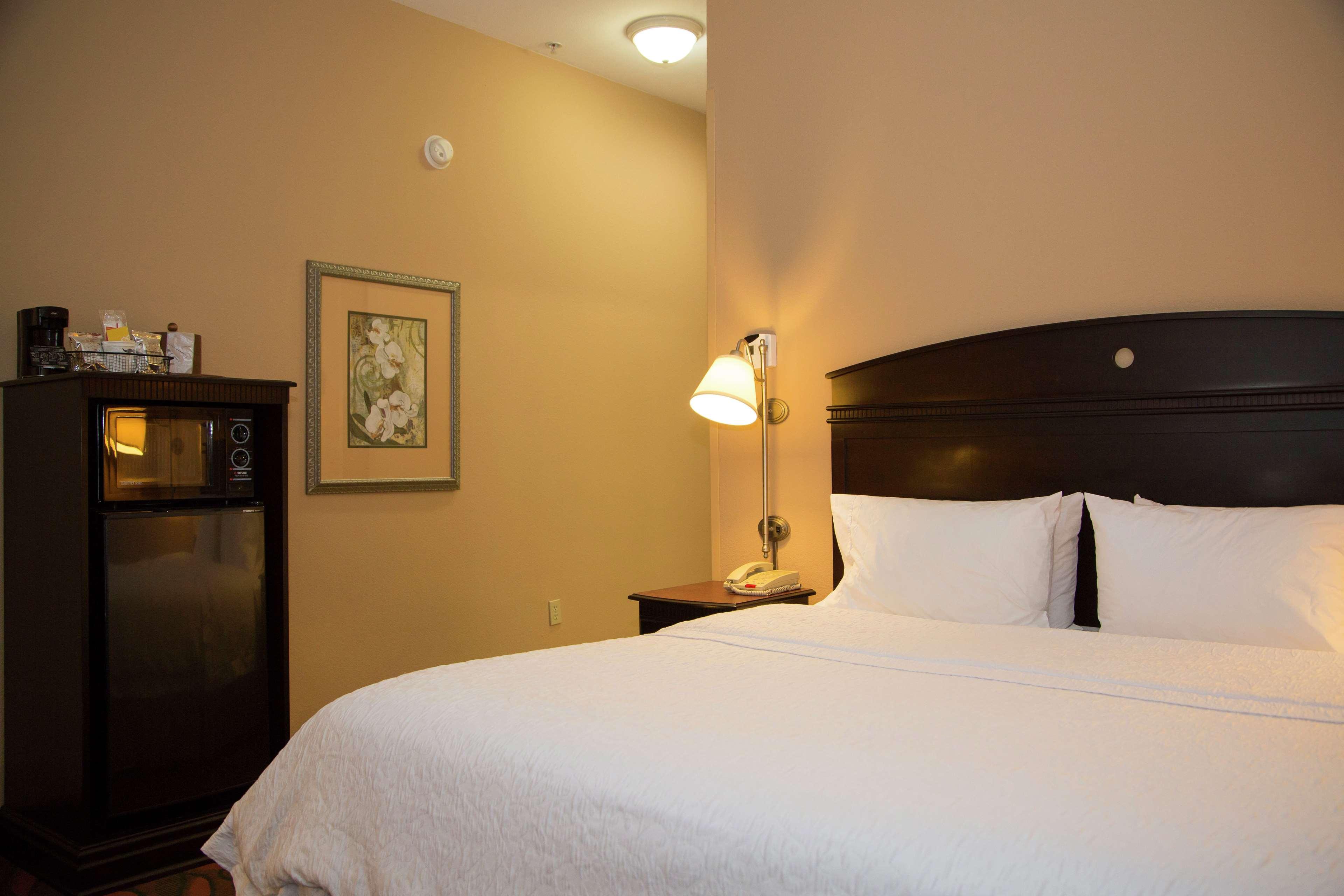 Hampton Inn & Suites Houston רוזנברג מראה חיצוני תמונה